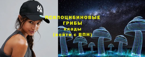 стаф Костерёво