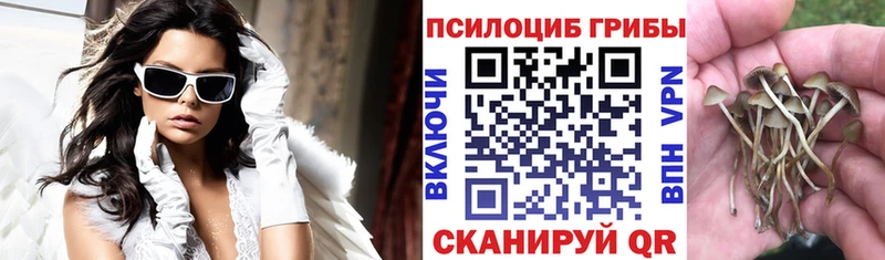 Псилоцибиновые грибы GOLDEN TEACHER  Купить закладки  Камешково 